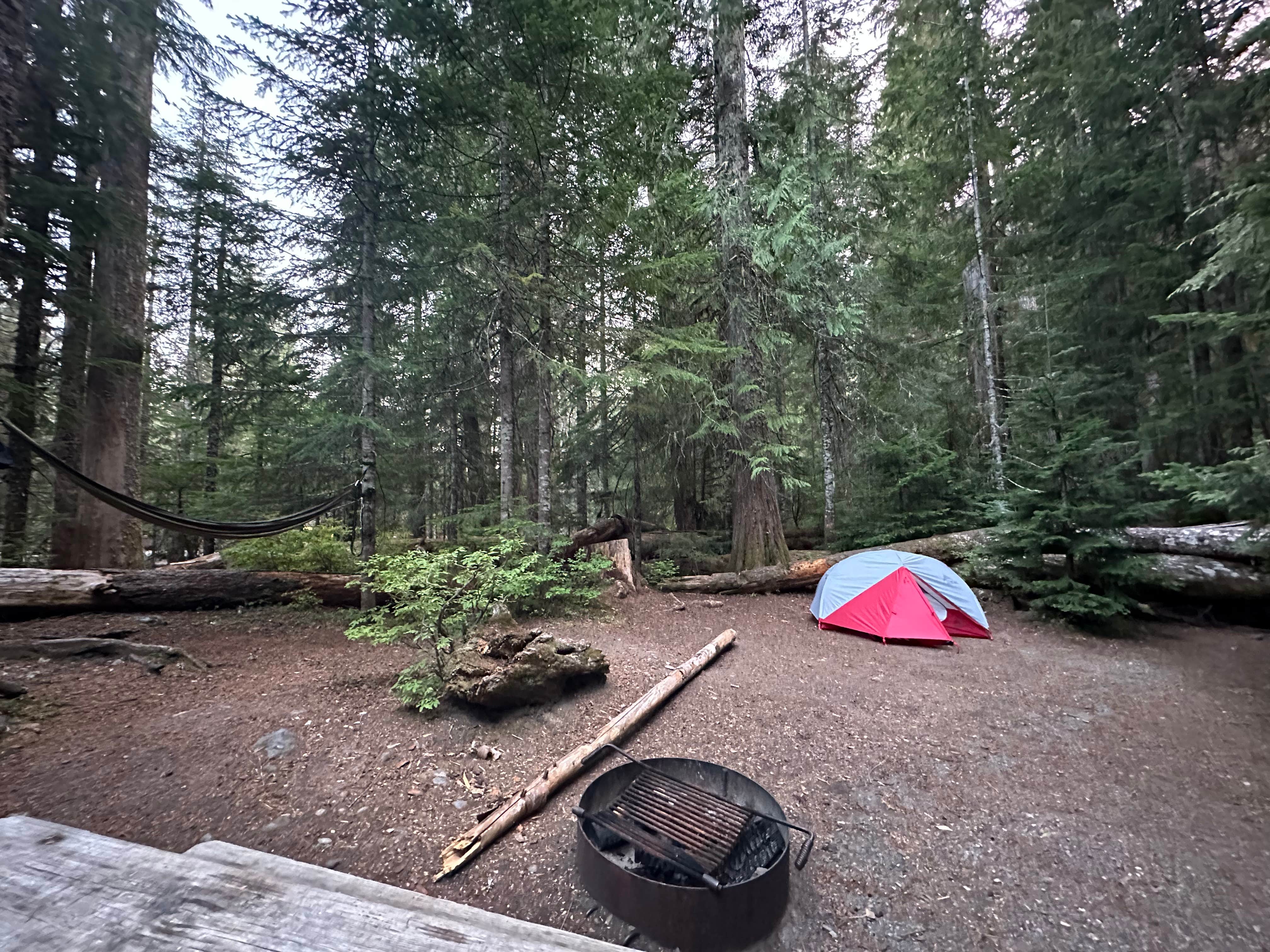 Lily H.'s photo at Cougar Rock Campground — Mount Rainier National Park near Elbe, WA