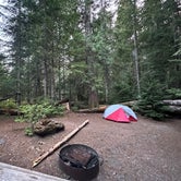 Review photo of Cougar Rock Campground — Mount Rainier National Park by Lily H., September 7, 2023