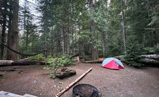 Lily H.'s photo at Cougar Rock Campground — Mount Rainier National Park near Elbe, WA