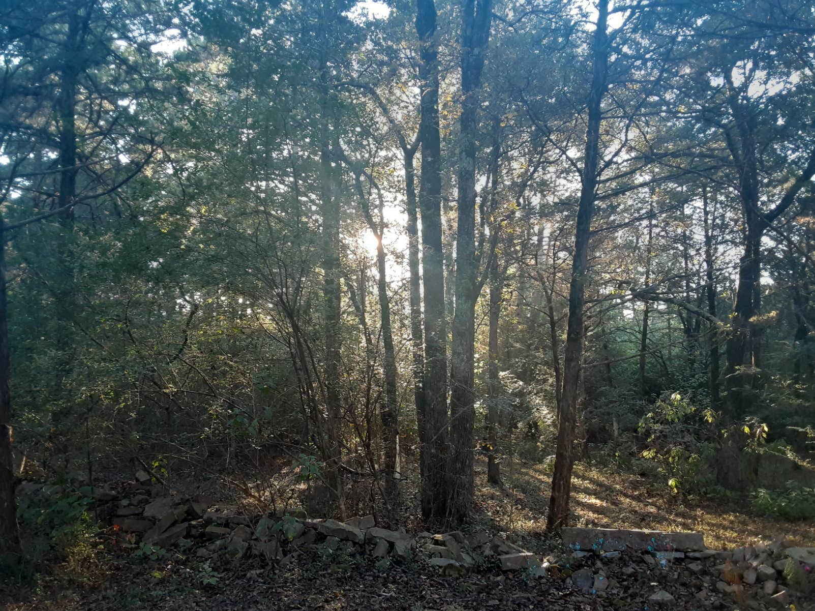 Xtreme Paintball and Laser Tag Camping Dover, AR