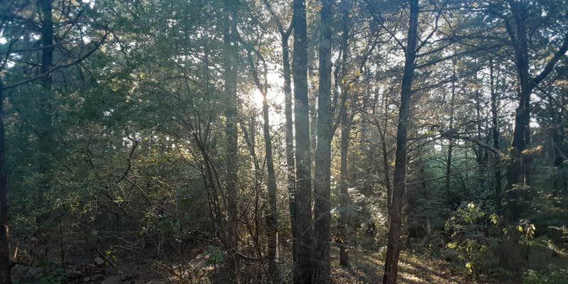 Camper submitted image from Xtreme Paintball and Laser Tag