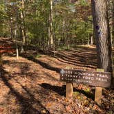 Review photo of Eno River State Park Campground by Caroline G., October 30, 2018