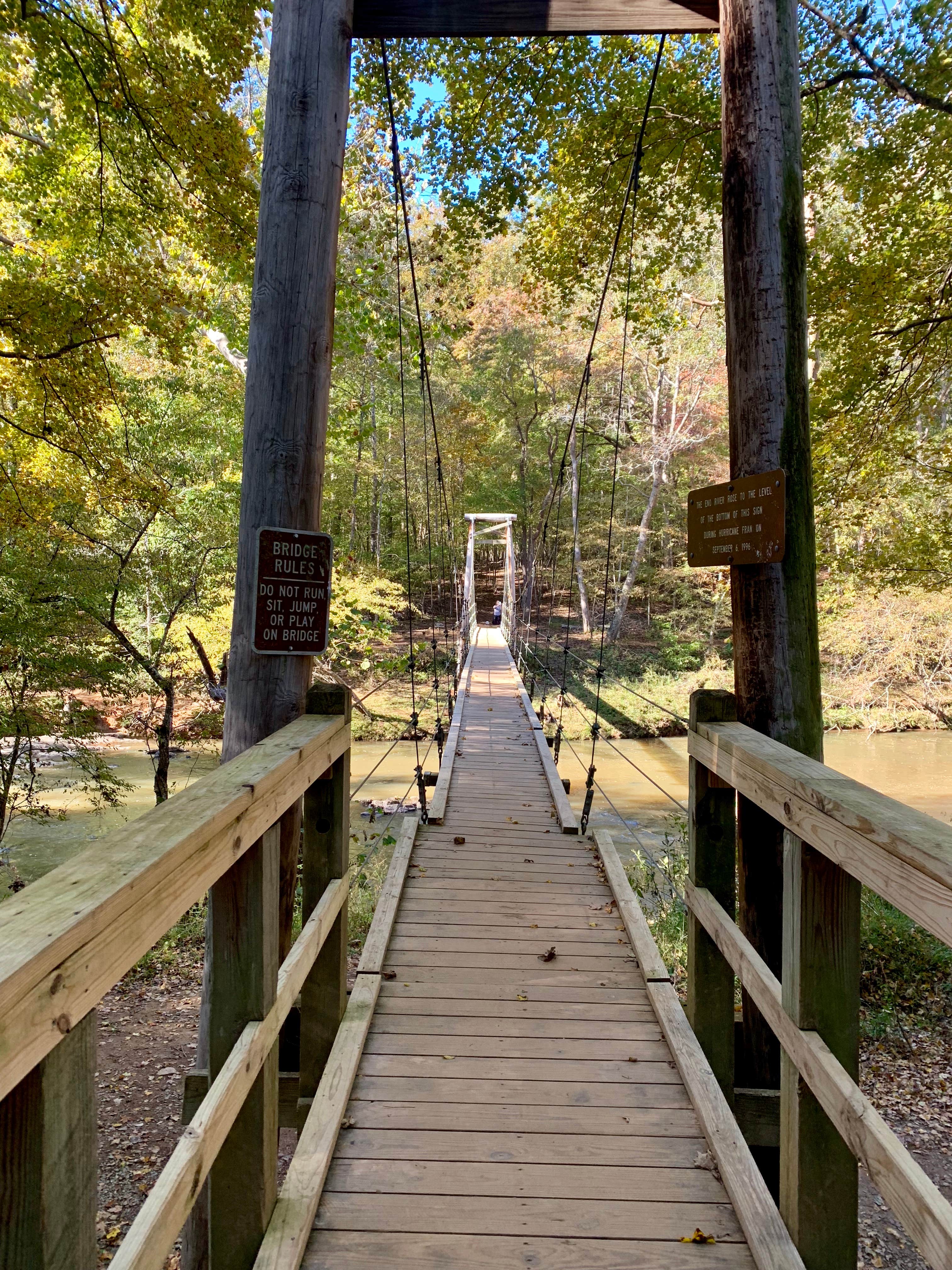 Camper submitted image from Eno River State Park Campground - 5