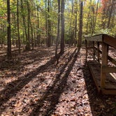 Review photo of Eno River State Park Campground by Caroline G., October 30, 2018