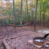 Review photo of Eno River State Park Campground by Caroline G., October 30, 2018