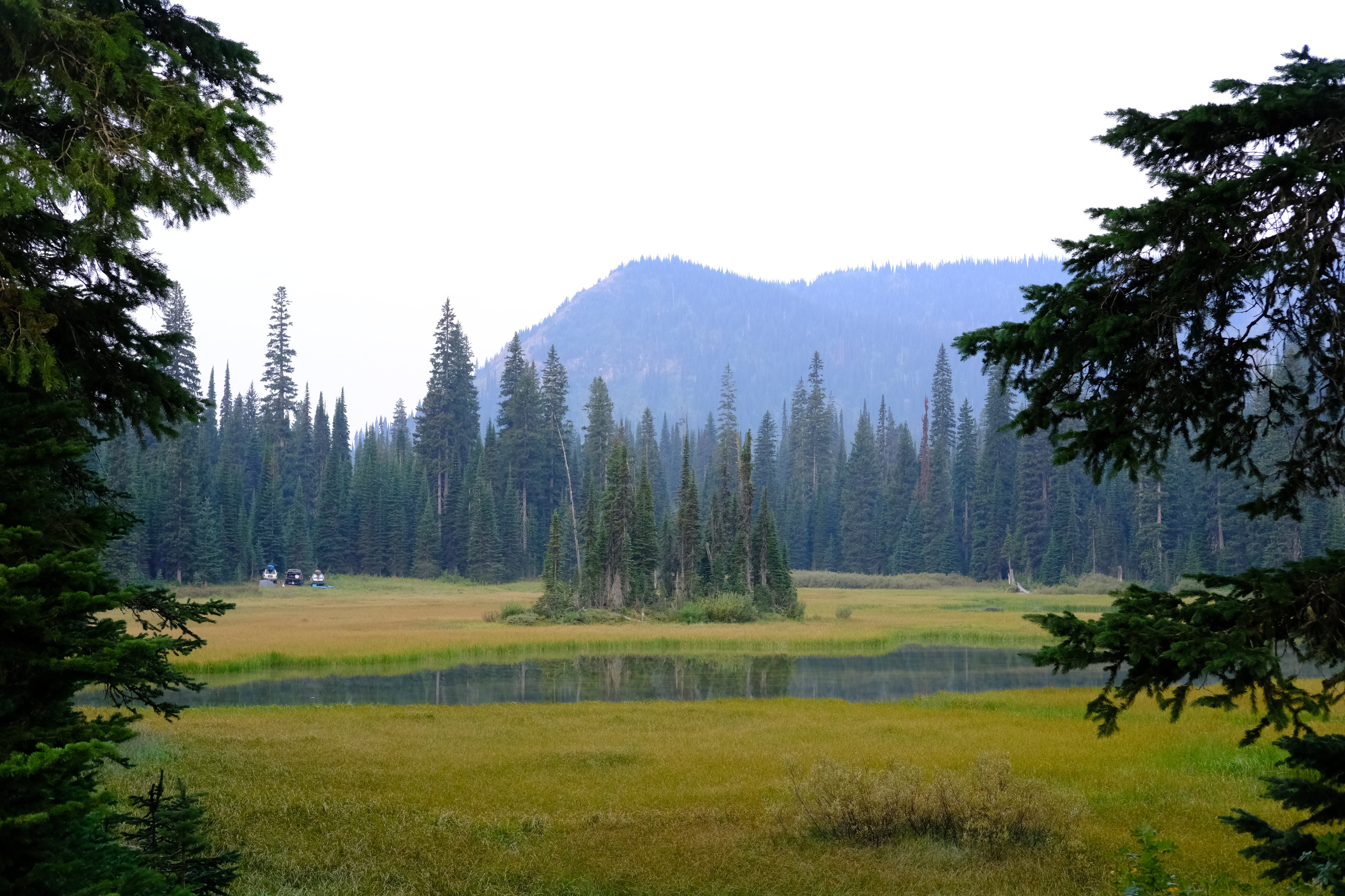 Camper submitted image from Red Meadow Lake - 5