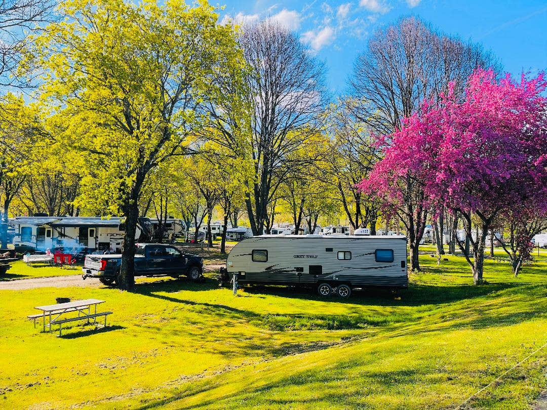 Eliza F.'s photo of rv camping at Sunflower Acres near Addison, NY