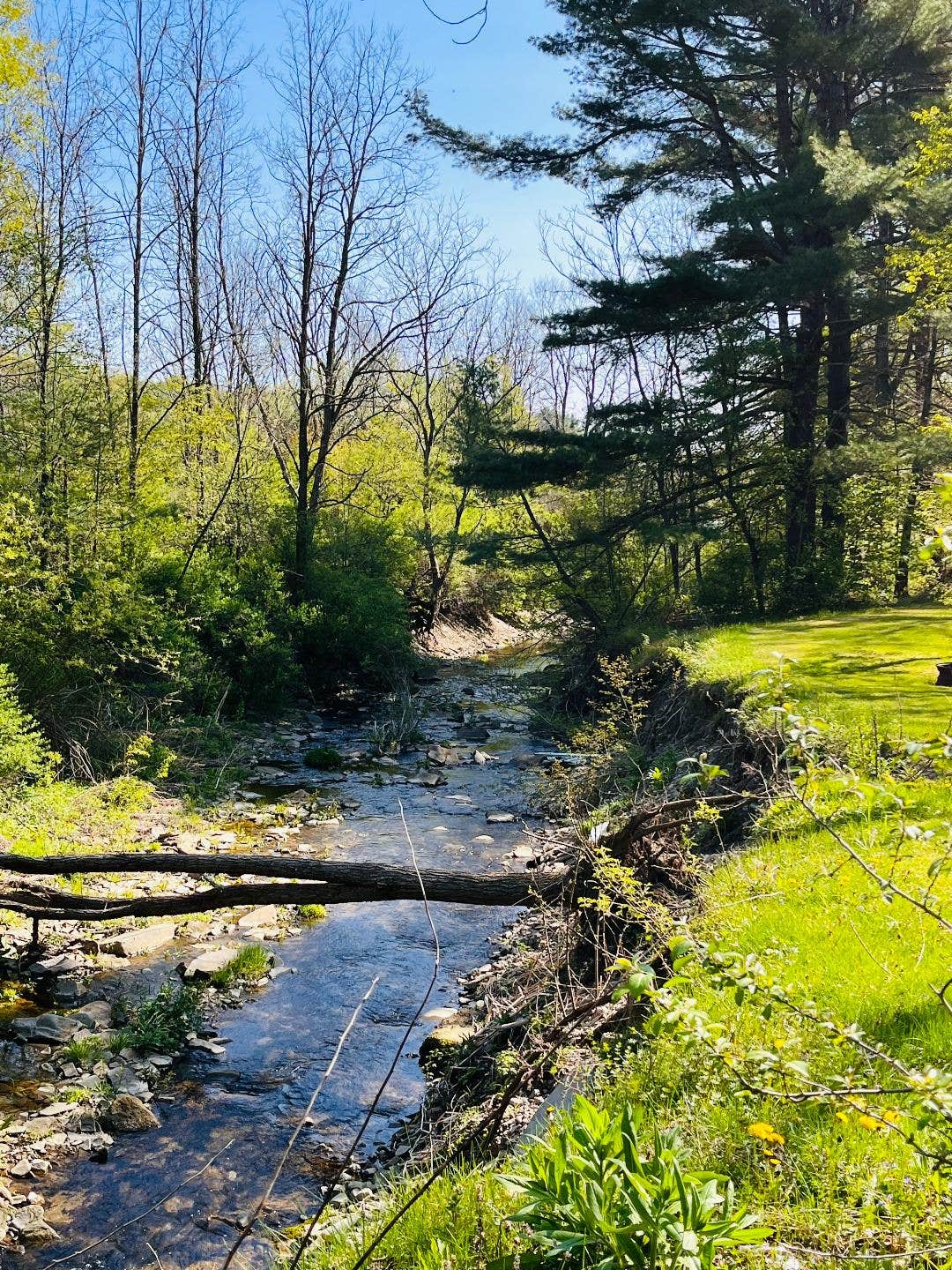 Camper-submitted photo at Sunflower Acres near Middlebury Center, PA