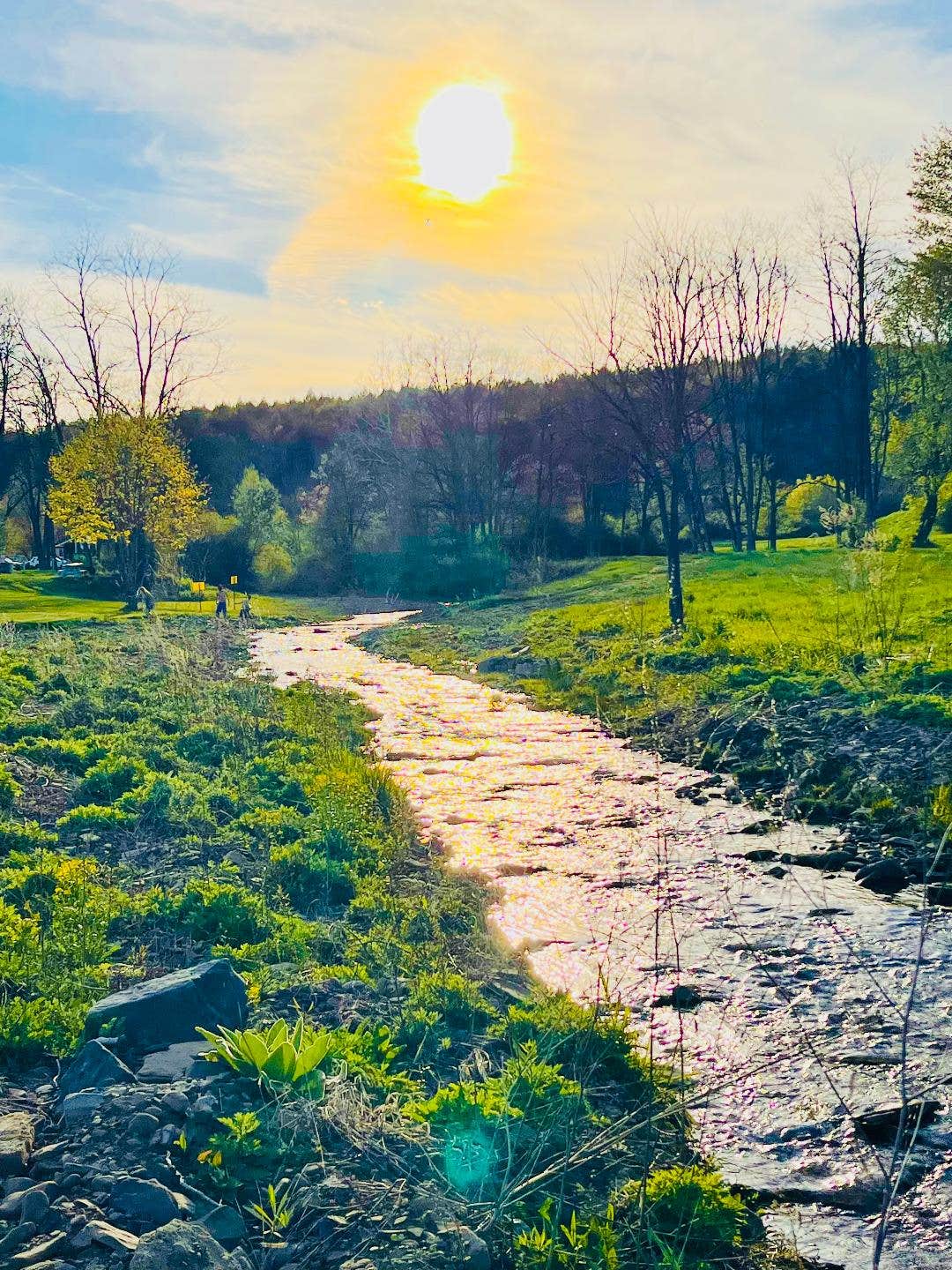 Camper-submitted photo at Sunflower Acres near Middlebury Center, PA