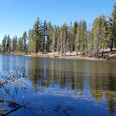 Review photo of Mt. Lassen-Shingletown KOA by Caryn Z., October 30, 2018