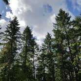 Review photo of American Heritage Campground by Caryn Z., October 30, 2018