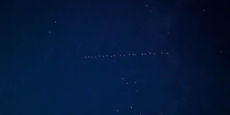 Camper submitted image from Gunlock State Park Campground