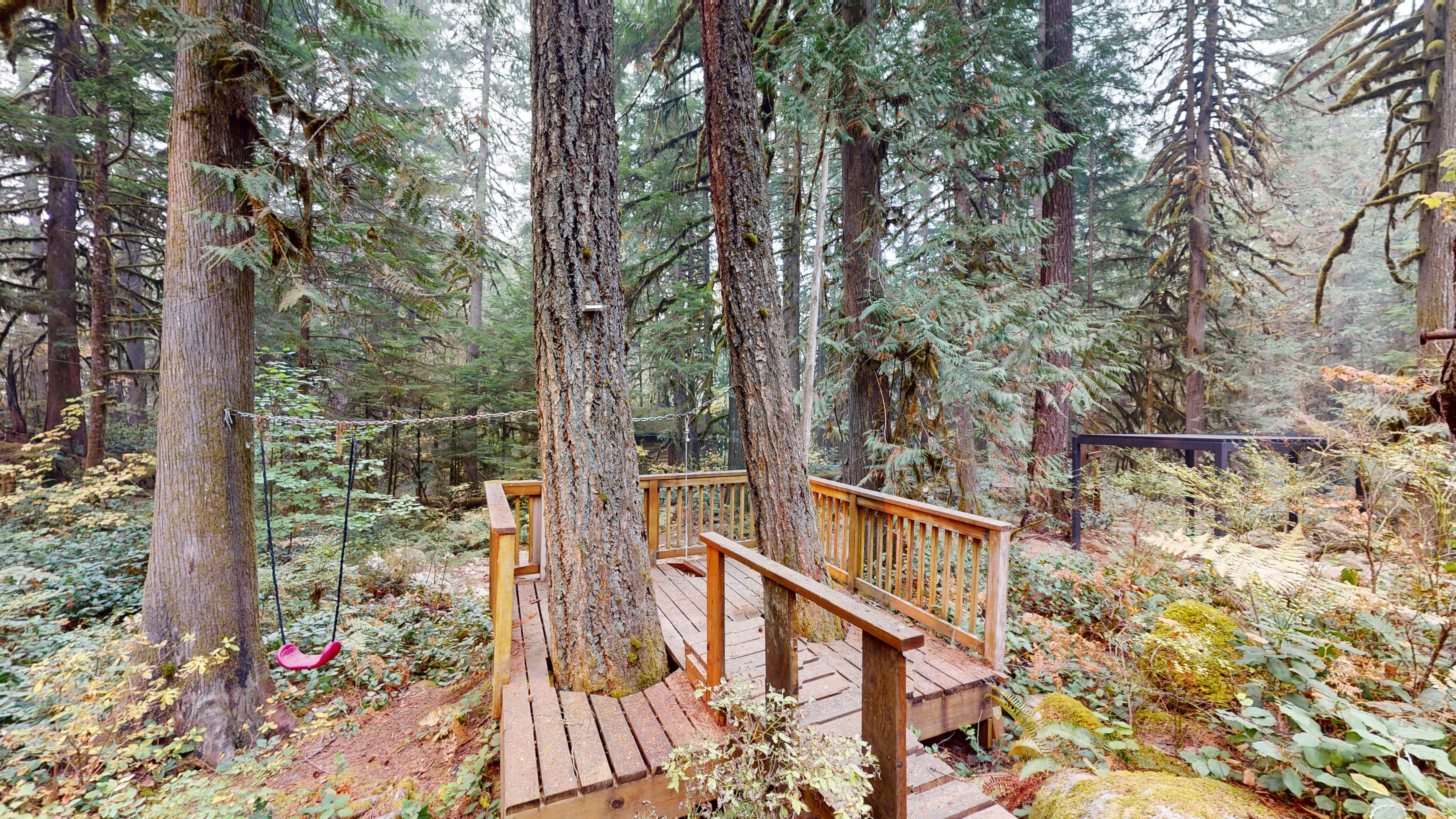 Camper-submitted photo at Cascade River Base Camp near Rockport, WA