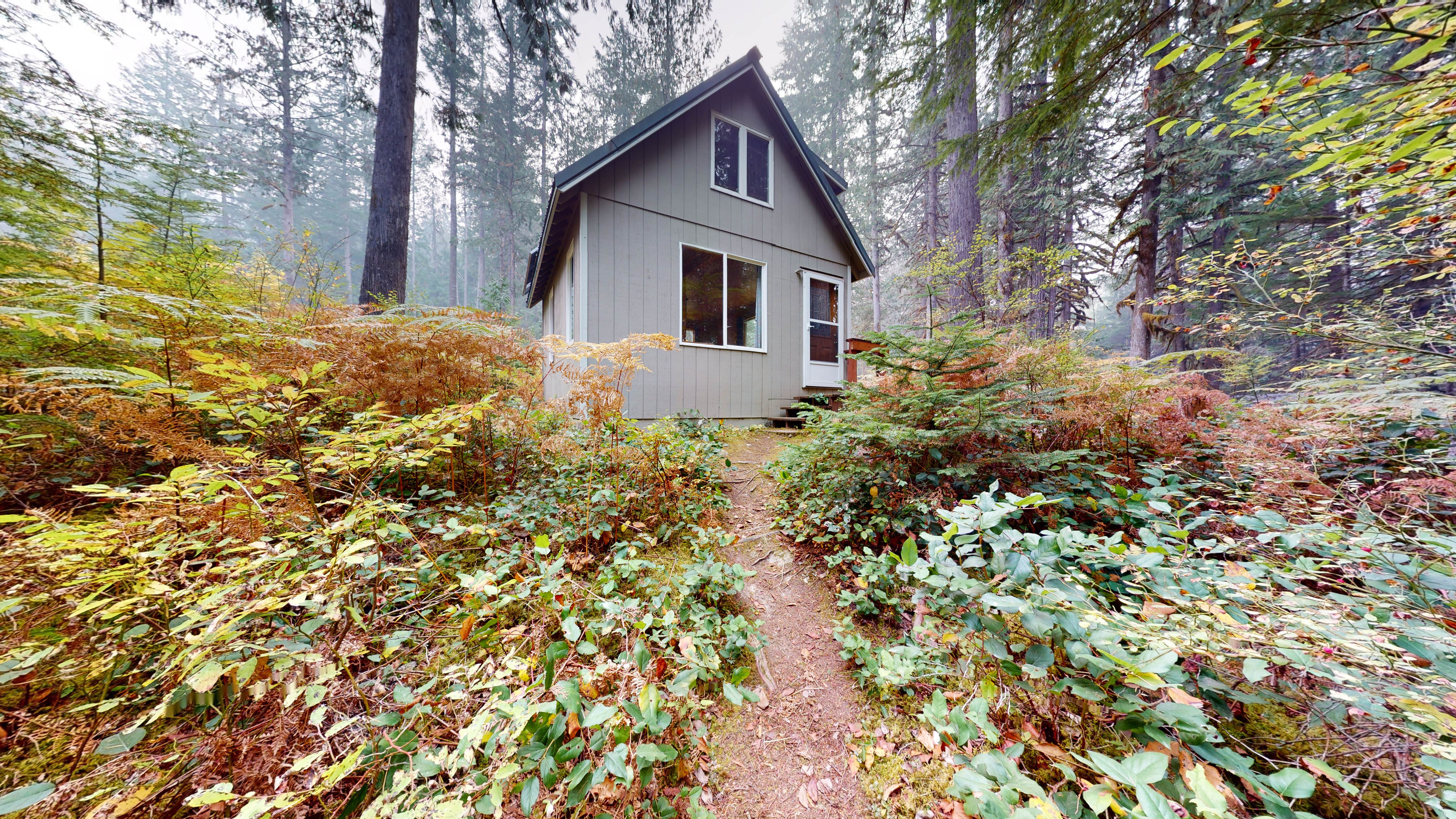 Camper-submitted photo at Cascade River Base Camp near Rockport, WA