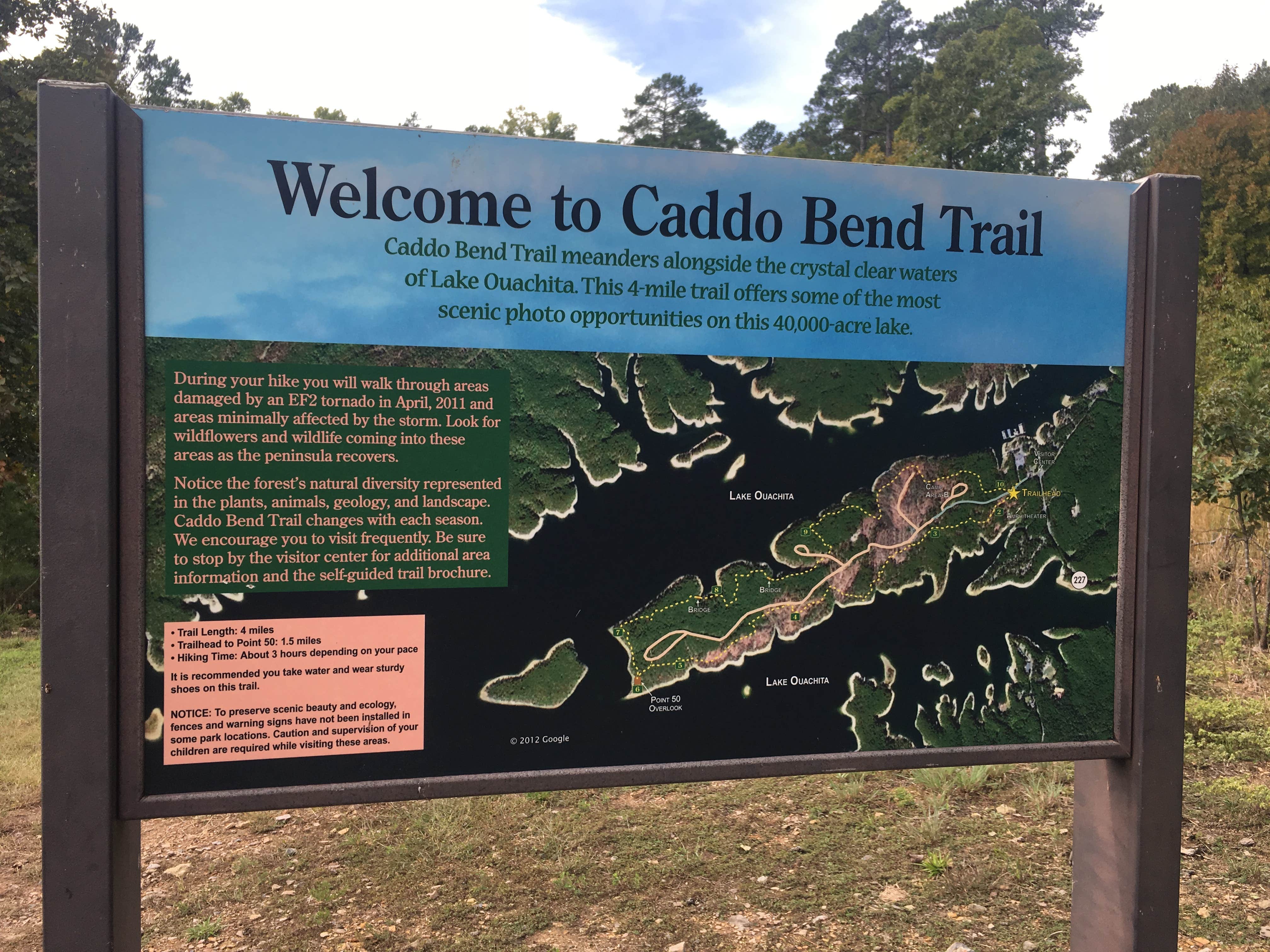 Camper submitted image from Lake Ouachita State Park Campground - 5