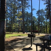 Review photo of Lake Ouachita State Park Campground by William C., October 30, 2018