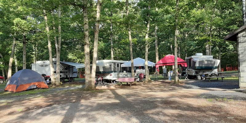 Camper submitted image from Fort Valley Ranch