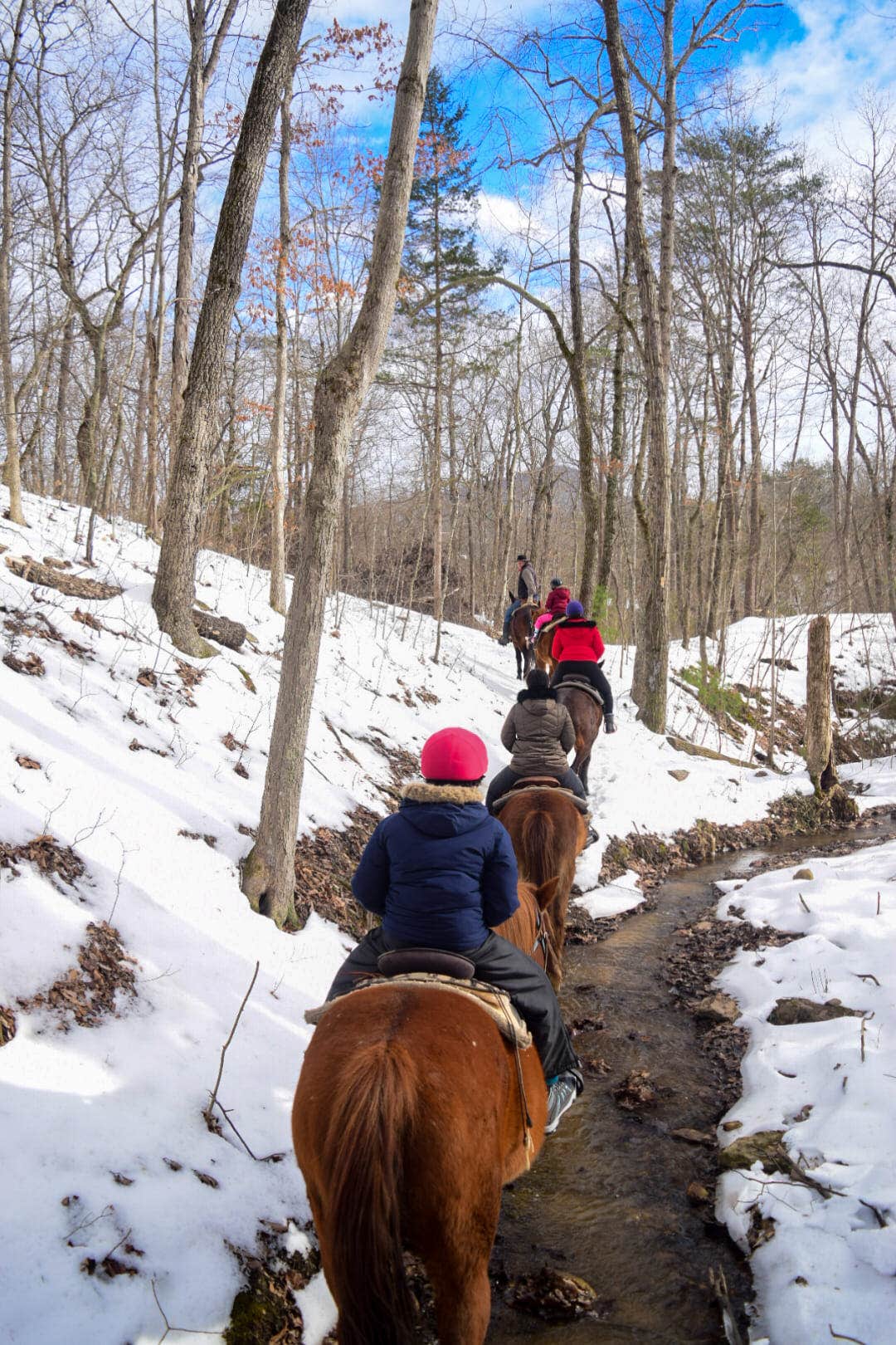 Fort Valley Ranch C.'s photo of camping with a horse at Fort Valley Ranch near Edinburg, VA