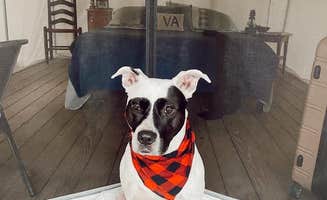 Jud B.'s photo of camping with pets at The Big Dipper Ranch near Shenandoah, VA