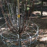 Review photo of Gulpha Gorge Campground — Hot Springs National Park by William C., October 30, 2018