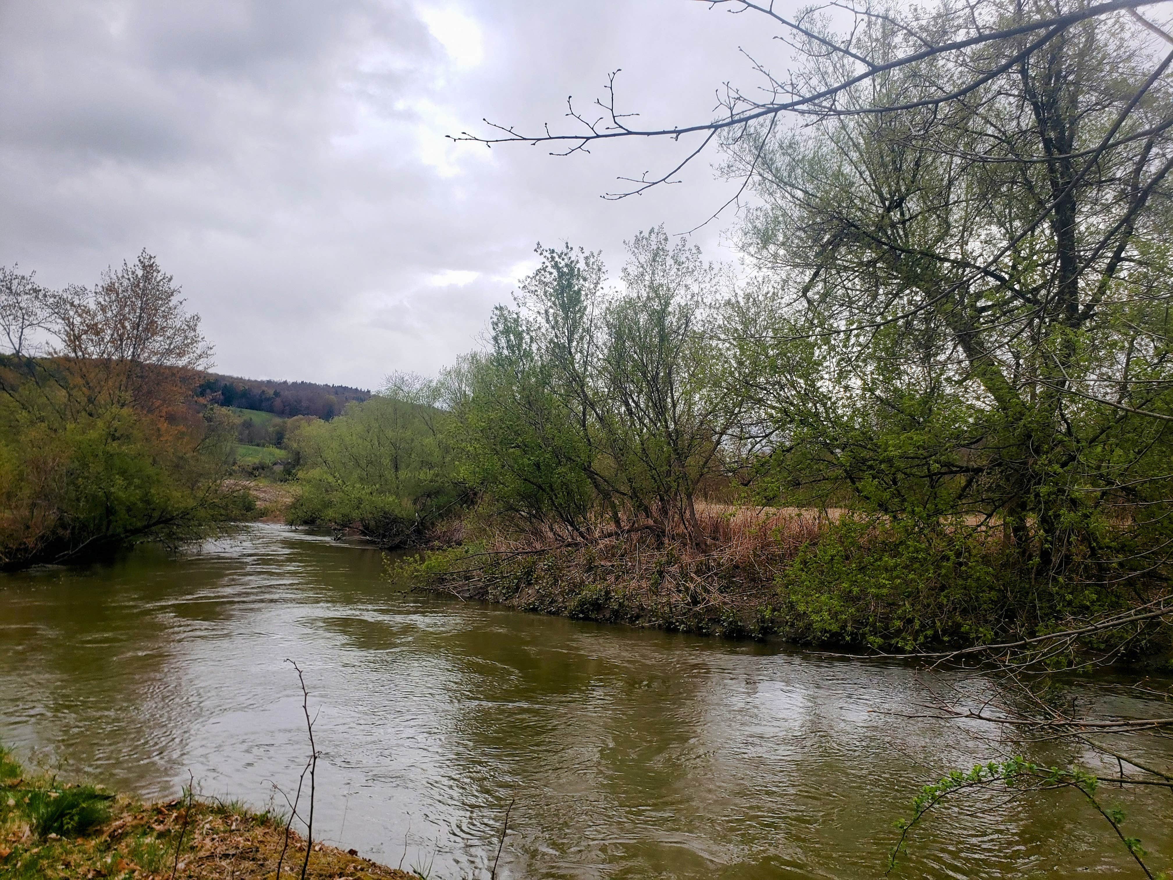 Camper-submitted photo at Susquehanna Trail Campground Oneonta New York near Colliersville, NY