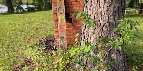 Camper submitted image from Mr. Levy's Riceland Farm