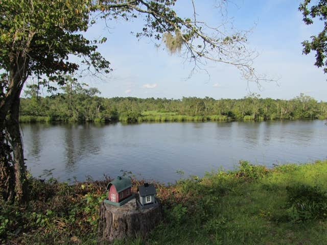 Camper-submitted photo at Mr. Levy's Riceland Farm near Pawleys Island, SC