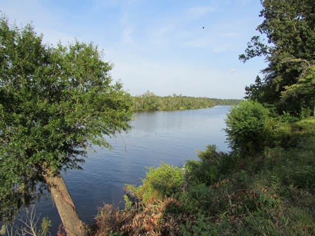 Camper-submitted photo at Mr. Levy's Riceland Farm near Pawleys Island, SC