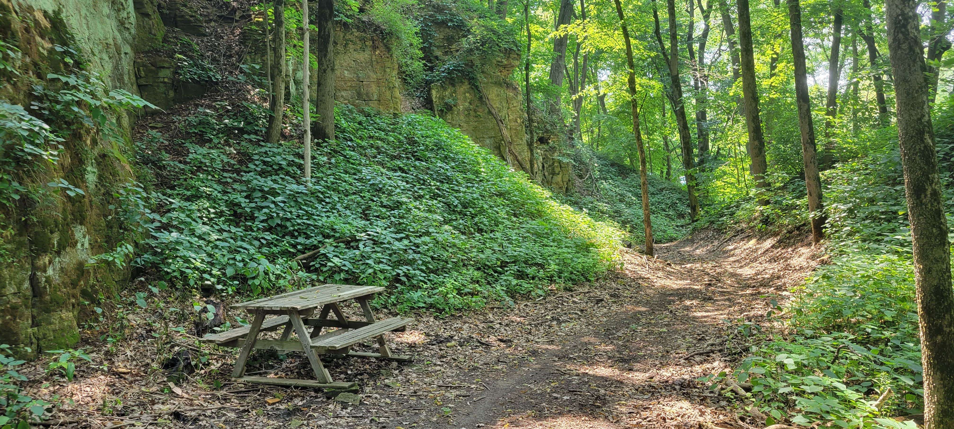 Camper-submitted photo at #JTRidge Sites/Clothing Optional near Wyoming, IA