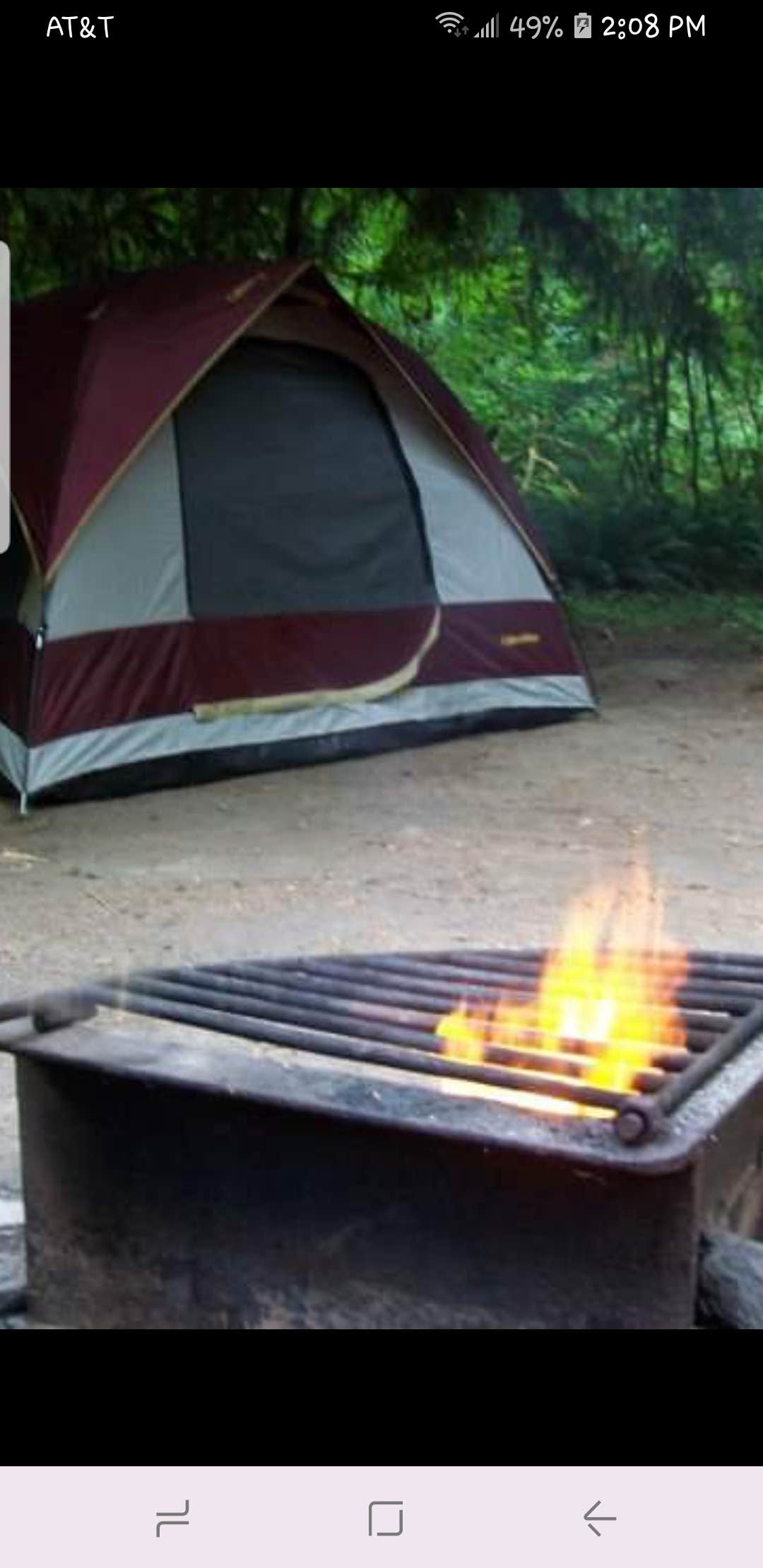 Tonya T.'s photo at Hoh Rain Forest - Olympic National Park near Olympic National Park