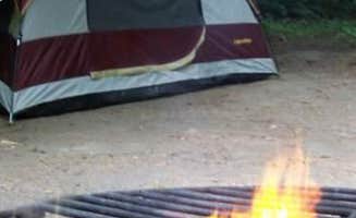 Tonya T.'s photo at Hoh Rain Forest - Olympic National Park near Olympic National Park