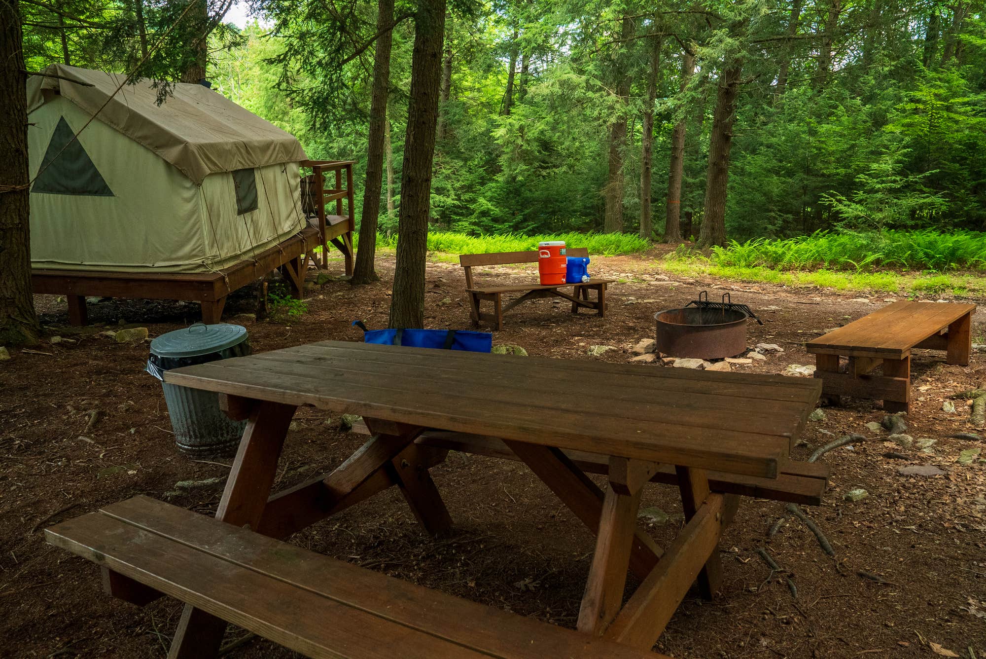 The Dyrt's photo at BMR Operations, LLC dba Blue Mountain Resort By: BM Resort Management, LLC its Authorized Agent near Albrightsville, PA