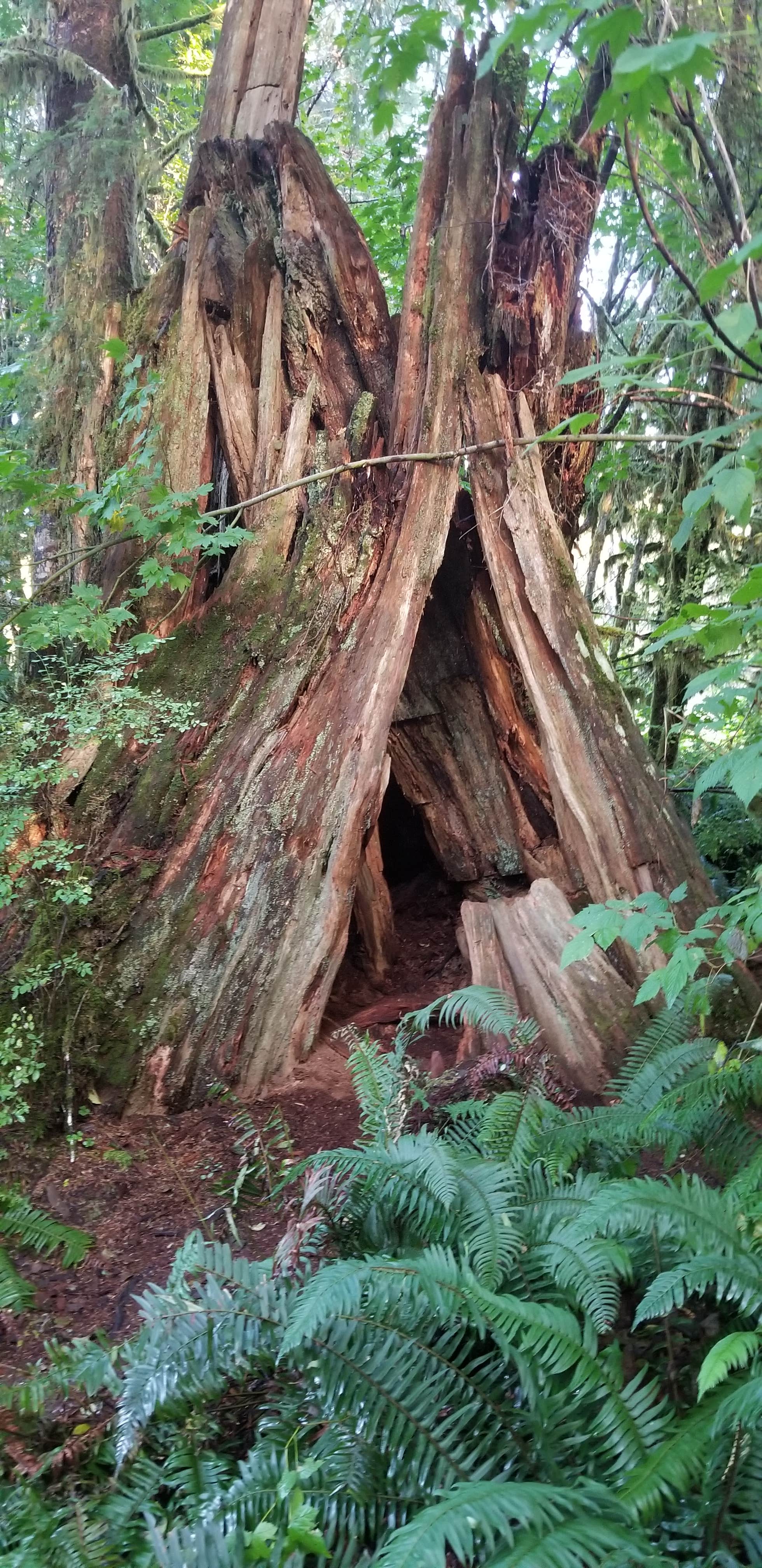 Nature