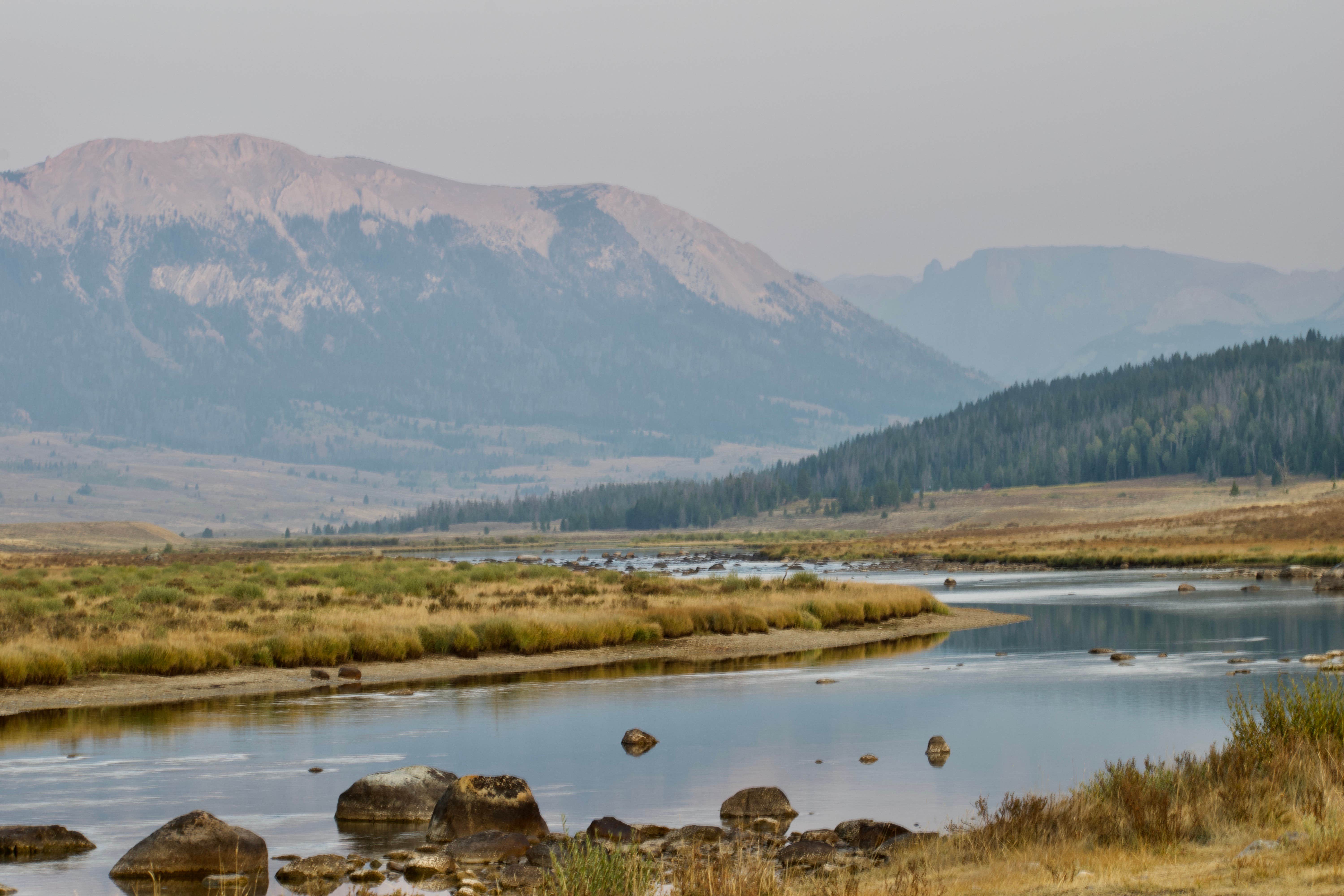 Camper-submitted photo at Green River Lakes Road near Dubois, WY