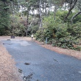 Review photo of South Beach State Park Campground by Robert D., September 11, 2023