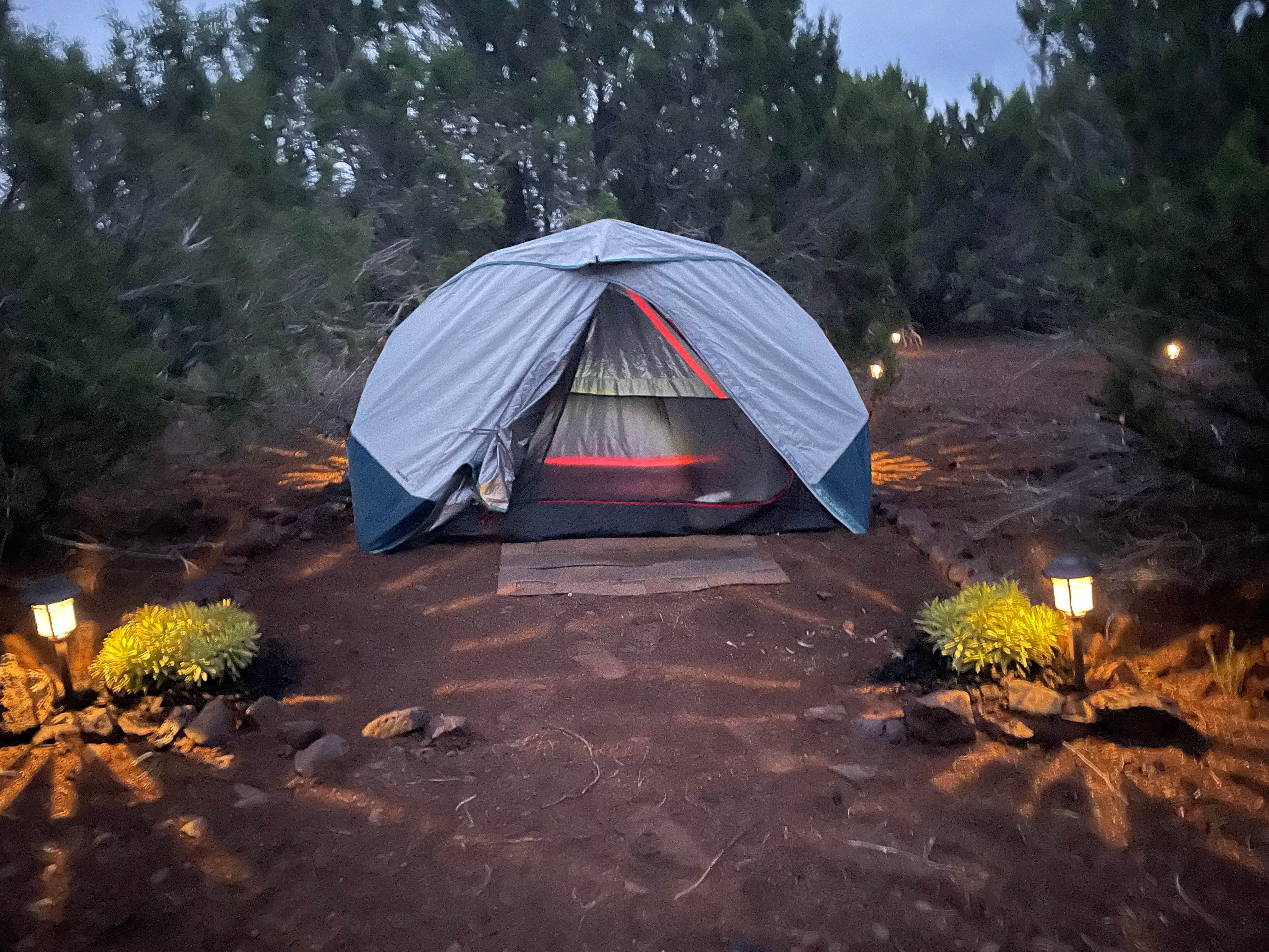 Catamaran D.'s photo of tent camping at Nevado Ranch Camping near Alpine, AZ