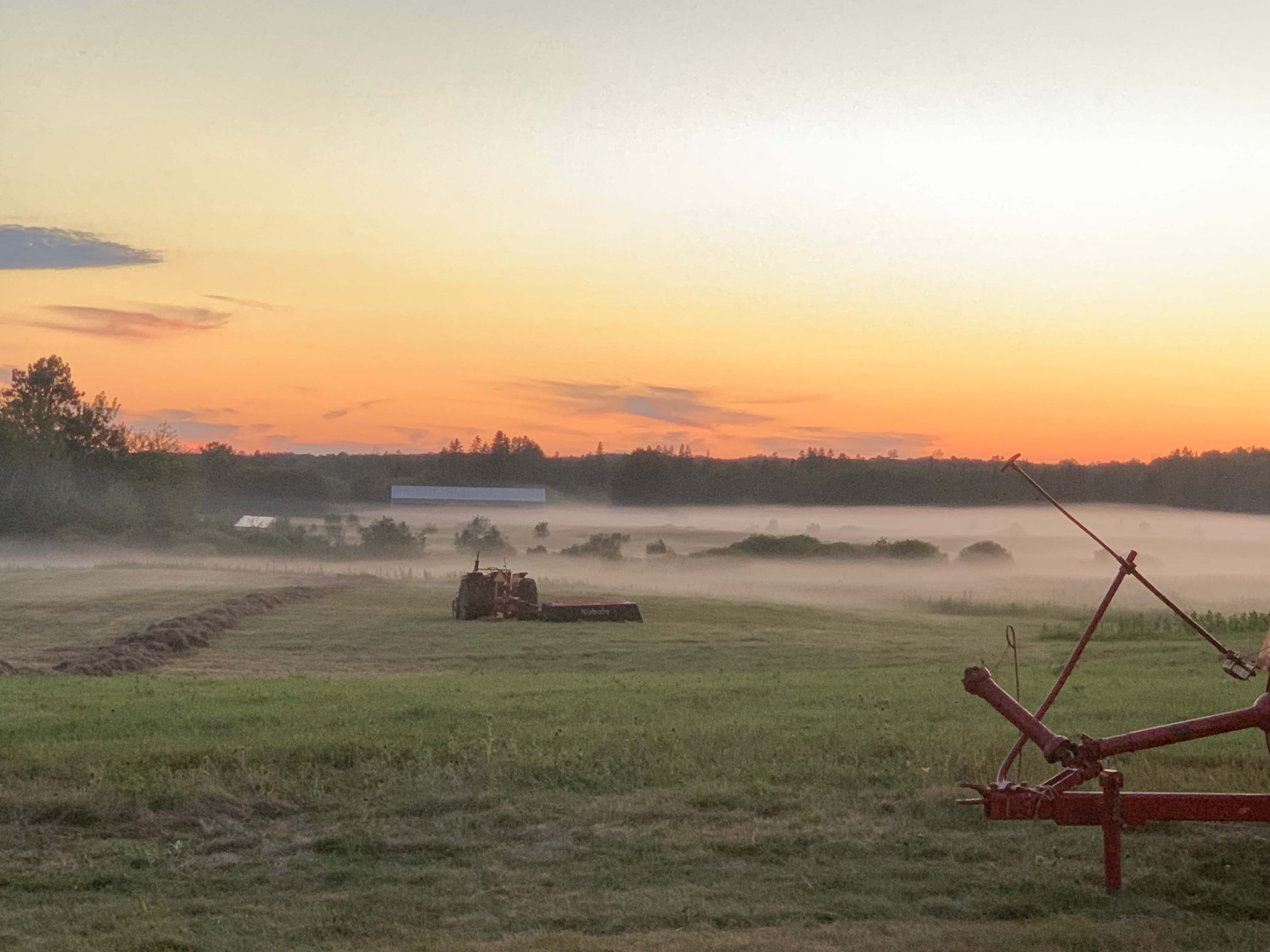 Camping near Banning State Park Campground: Brno Farm, Sandstone, Minnesota