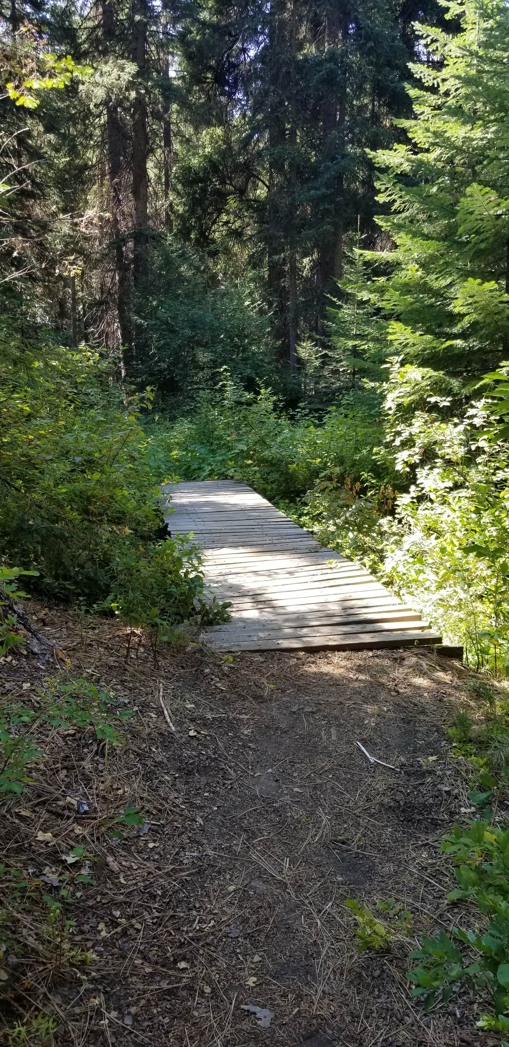 Camper submitted image from Wenatchee National Forest Swauk Campground - 3