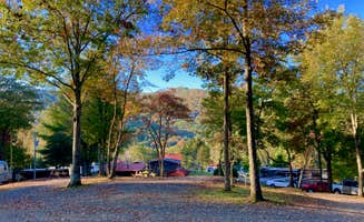 pj P.'s photo at Mountain View Campground near Hayesville, NC