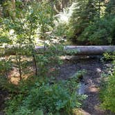 Review photo of Wenatchee National Forest Swauk Campground by Tonya T., October 30, 2018