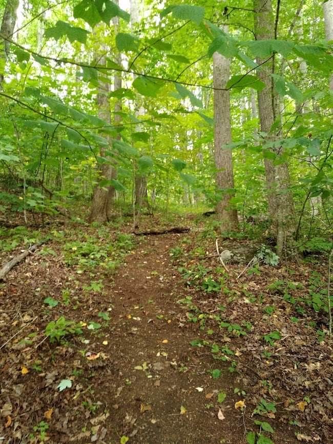 Camper-submitted photo at Mila's Bunny Farm near Pisgah National Forest