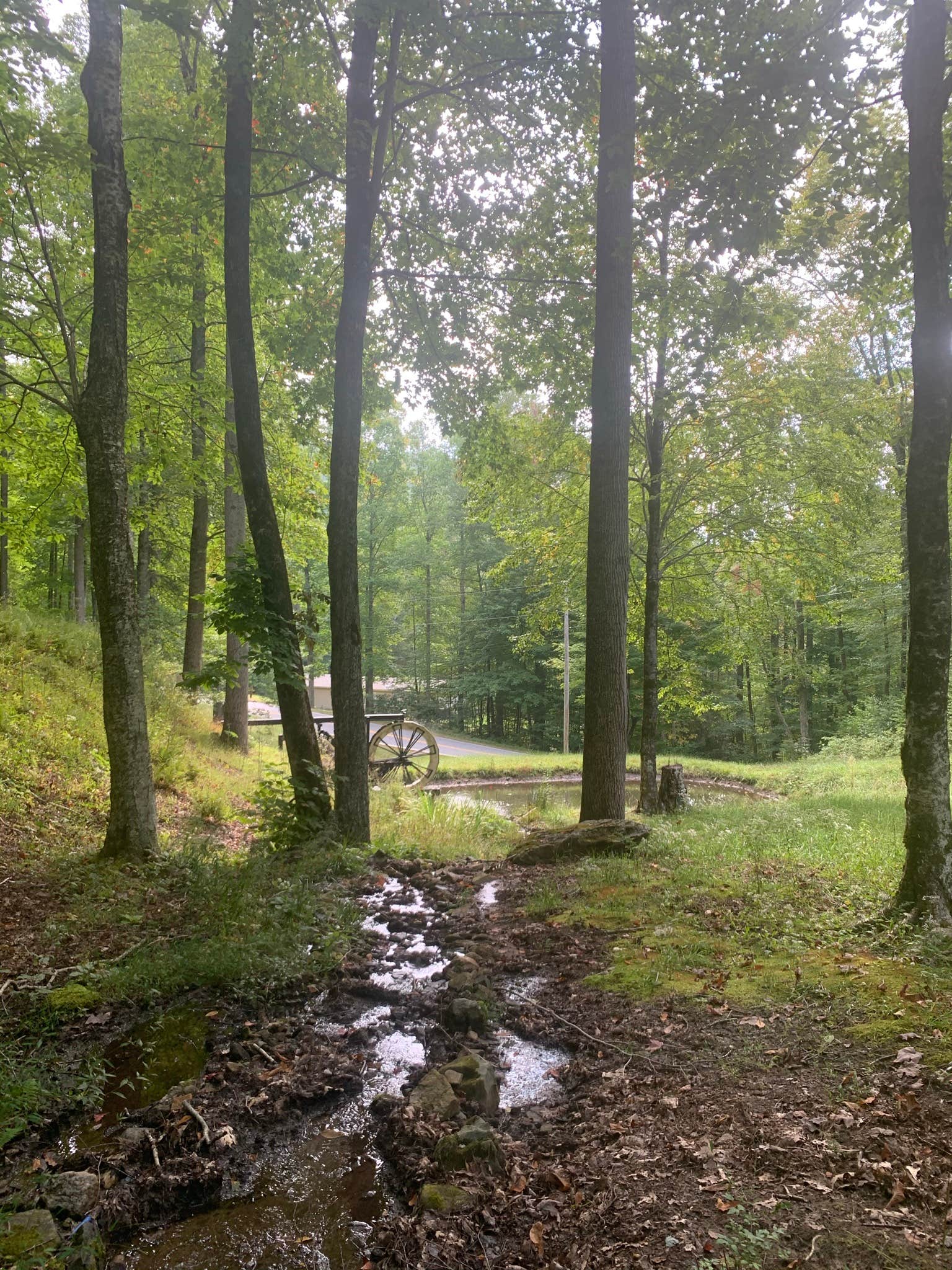 Camper-submitted photo at Mila's Bunny Farm near Burnsville, NC