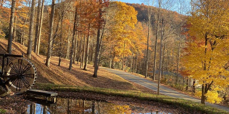 Camper submitted image from Mila's Bunny Farm