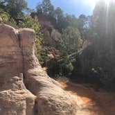 Review photo of Providence Canyon State Park Campground by Shelly S., October 30, 2018