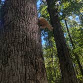 Review photo of Providence Canyon State Park Campground by Shelly S., October 30, 2018