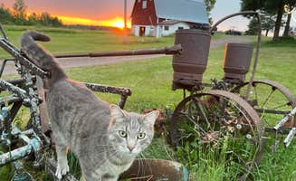 Elli W.'s photo of camping with pets at Brno Farm near St. Croix National Scenic Riverway