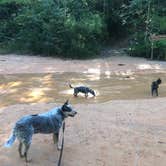 Review photo of Providence Canyon State Park Campground by Shelly S., October 30, 2018