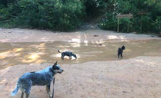 Shelly S.'s photo of camping with pets at Providence Canyon State Park Campground near Columbus, GA