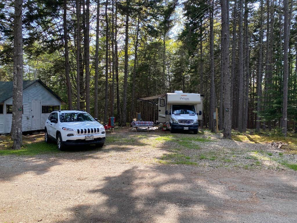 Camper submitted image from Sherwood Forest Campsite - 1