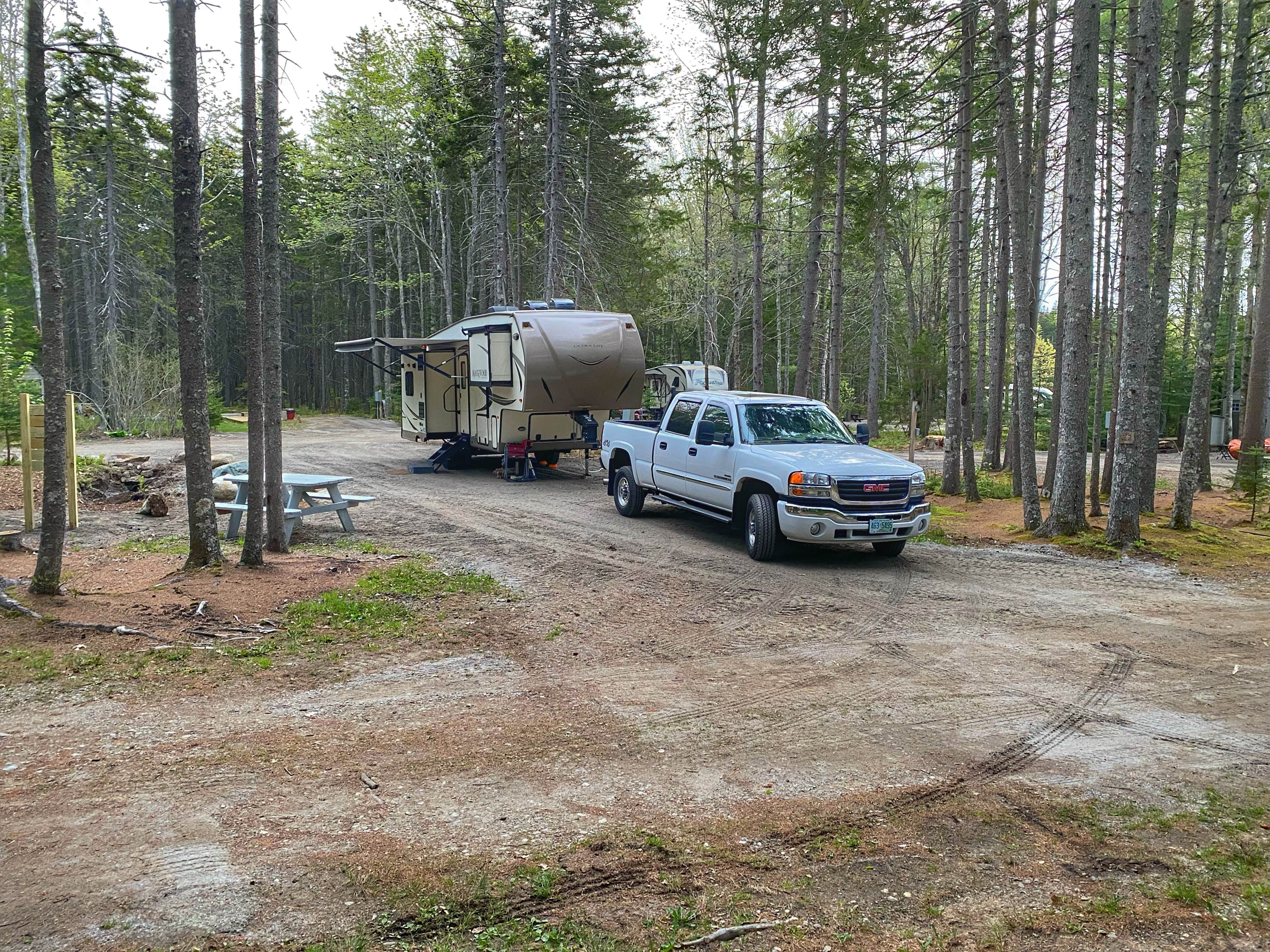 Camper submitted image from Sherwood Forest Campsite - 2